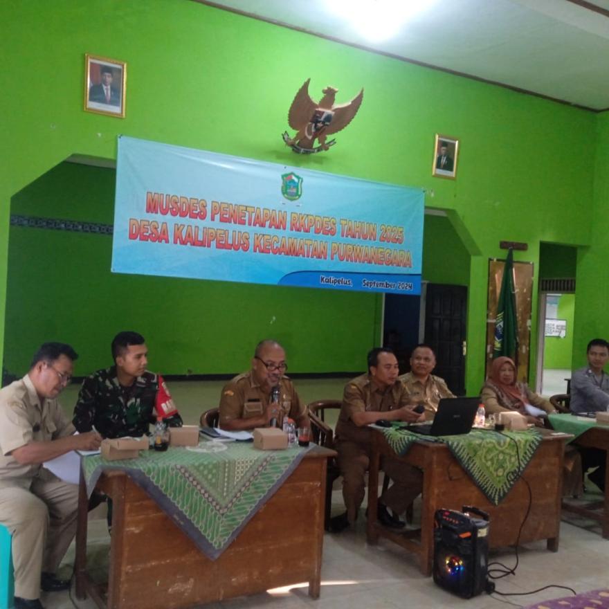 PENYUSUNAN REVIEW RPJMDES 2020-20227 DAN RKPDES TAHUN 2025 DESA KALIPELUS